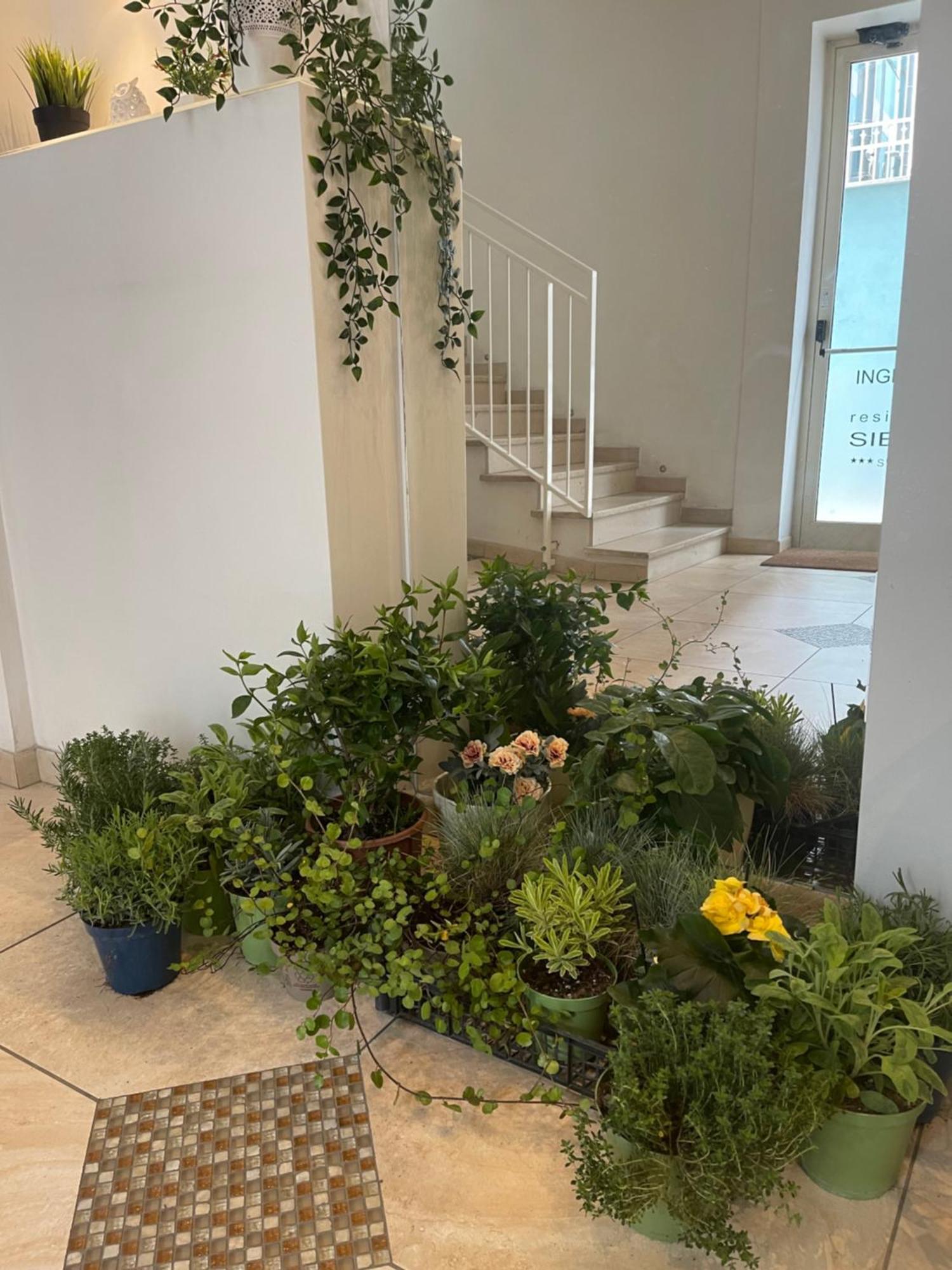 Residence Siesta Rimini Zewnętrze zdjęcie